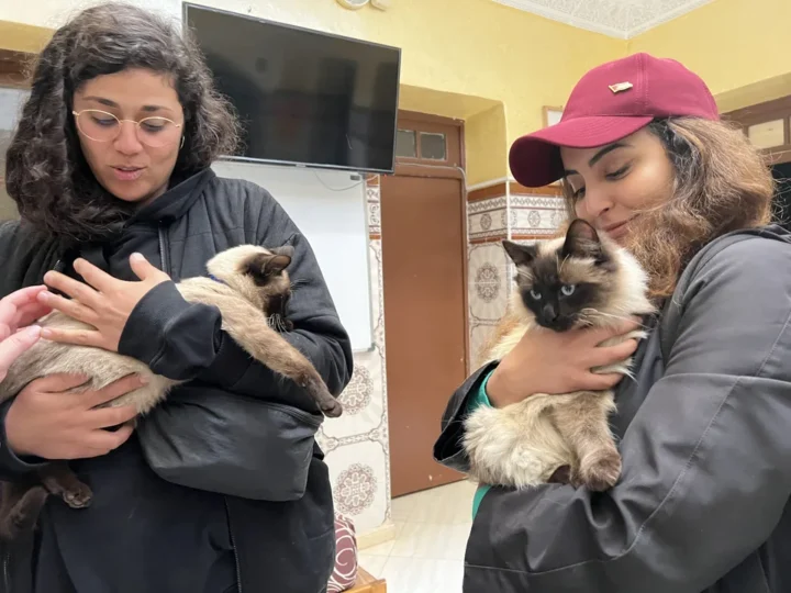 whrm040 oujda rencontre vivant