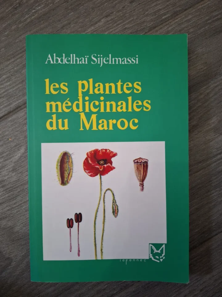 obmb108 tiznit recherche paysage